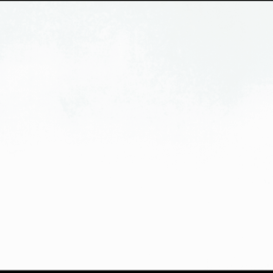 Super white(PL-101)